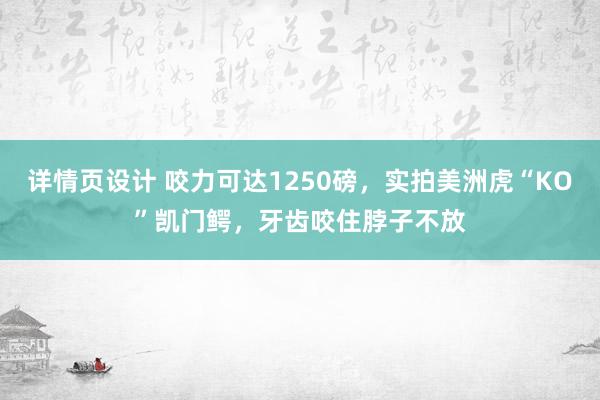 详情页设计 咬力可达1250磅，实拍美洲虎“KO”凯门鳄，牙齿咬住脖子不放