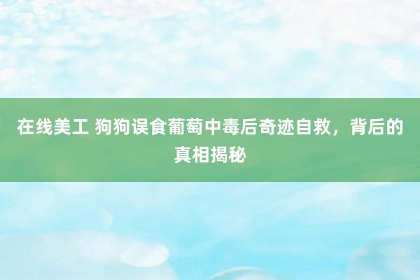 在线美工 狗狗误食葡萄中毒后奇迹自救，背后的真相揭秘